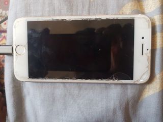 (Category: ) located in . Submitted by goblewoble (Listing ID 1059705314, Image 1). Description: .