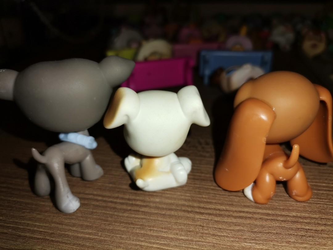 Littlest Pet Shop Lps dogs Hobbies Toys Toys Games on Carousell