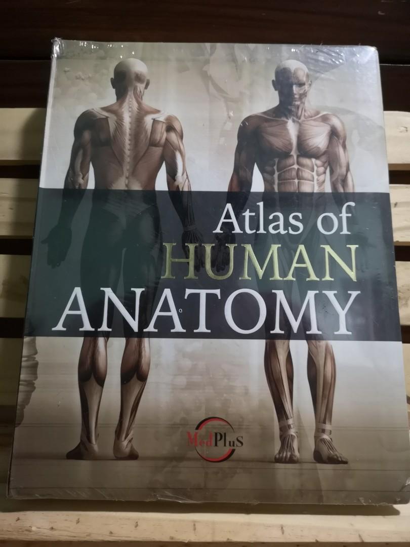 Atlas of Human Anatomy - MedPlus (new & sealed), Hobbies & Toys, Books ...