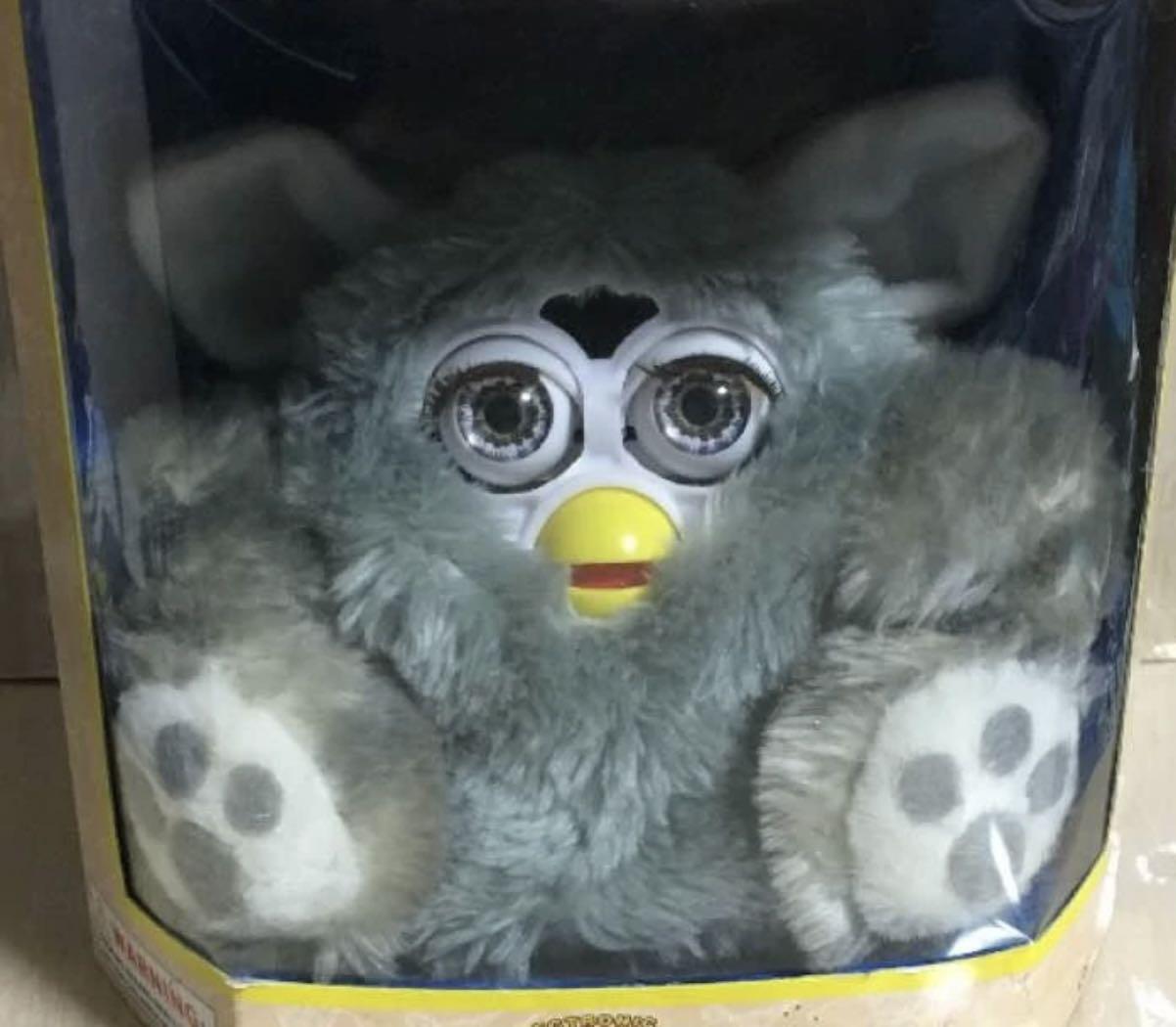 Coobie furby top