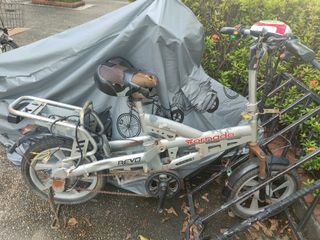(Category: ) located in . Submitted by es0276 (Listing ID 1053734373, Image 1). Description: .
