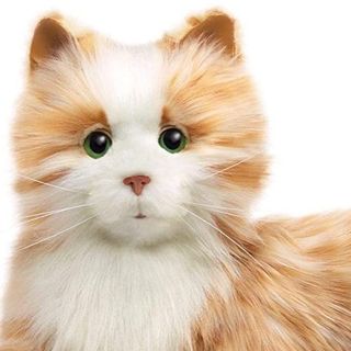 (Category: ) located in . Submitted by LionNLamb (Listing ID 1053308388, Image 1). Description: .