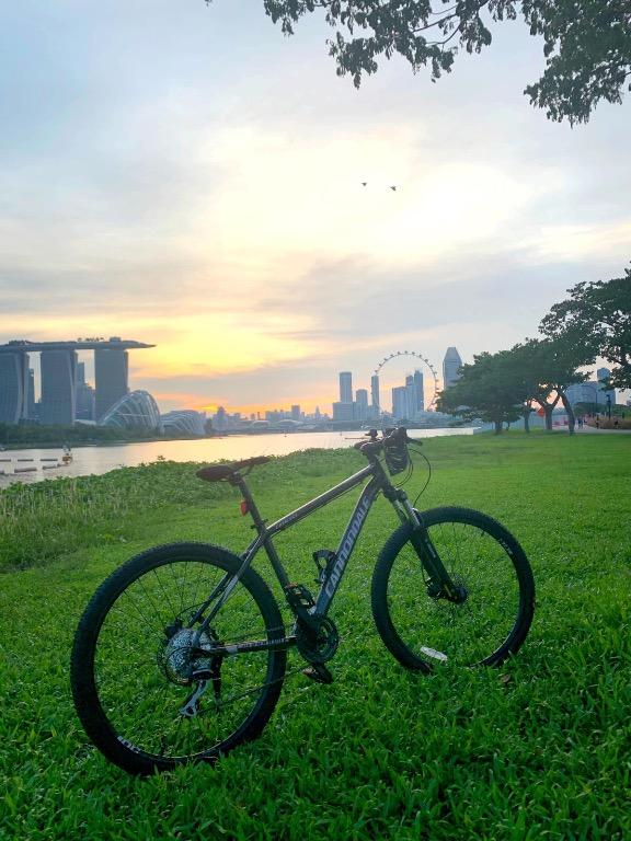Cannondale catalyst online 2