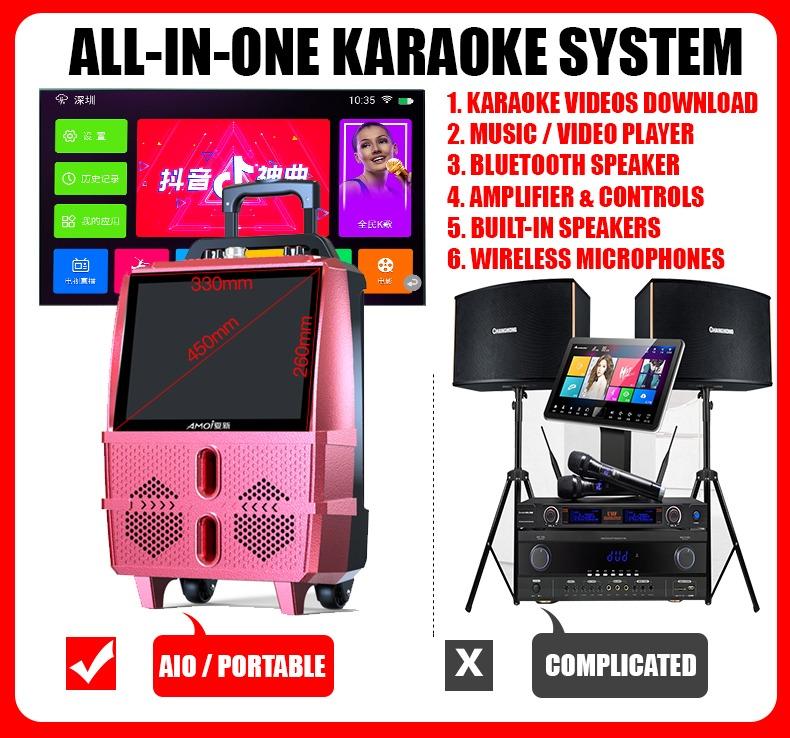 Complete Karaoke System Portable Player Amplifier Mics Speakers