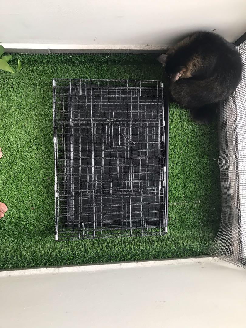 Sangkar Kucing, Pet Supplies, Pet Accessories on Carousell
