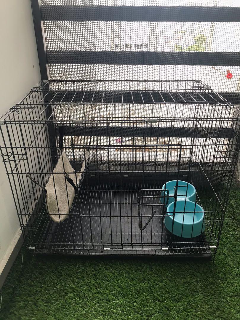 Sangkar Kucing, Pet Supplies, Pet Accessories on Carousell