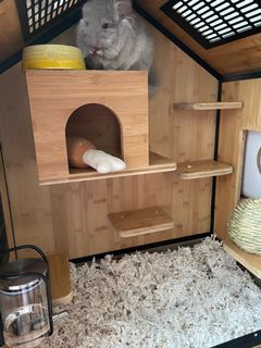 （分類：）位於 。 由 pineapplebun123 提交（商品編號 1053568532，圖片 1）。簡介： 。