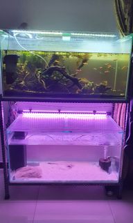 (Category: ) located in . Submitted by sadaan (Listing ID 1053863012, Image 1). Description: .