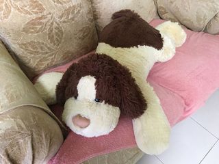 (Category: ) located in . Submitted by 123st (Listing ID 1053976944, Image 1). Description: .