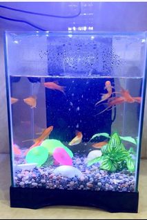 (Category: ) located in . Submitted by vivanduseja (Listing ID 1053928701, Image 1). Description: .
