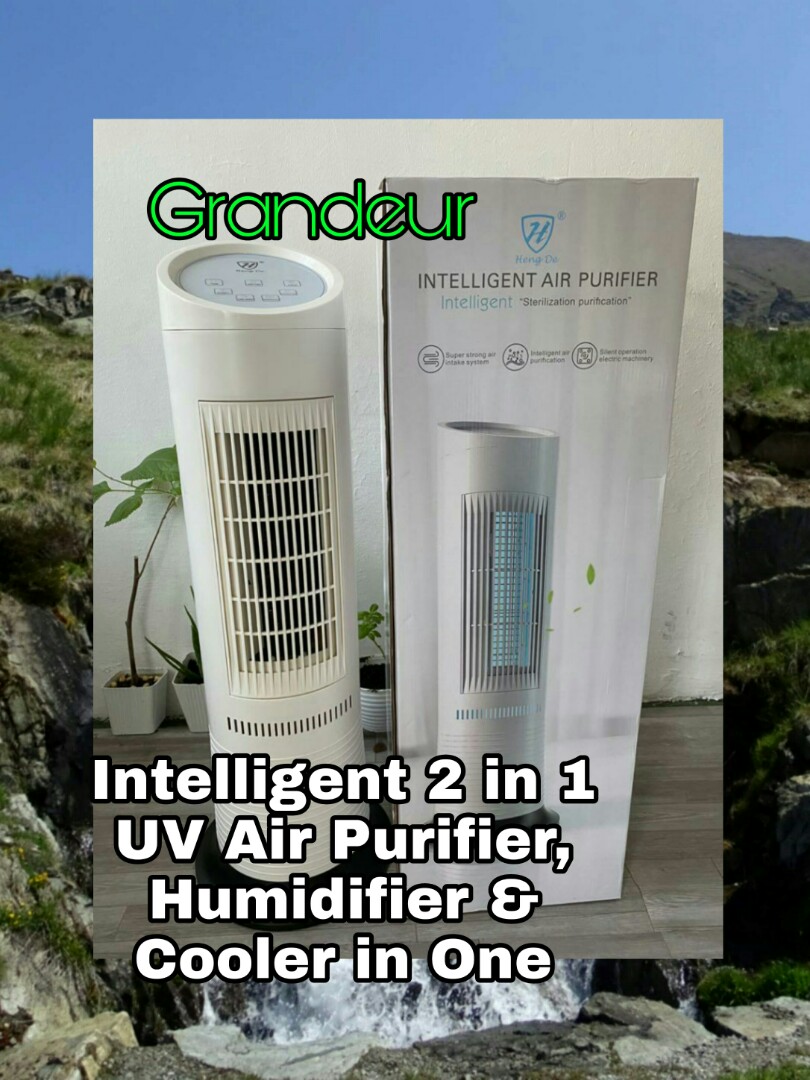 Intelligent air sales purifier heng de