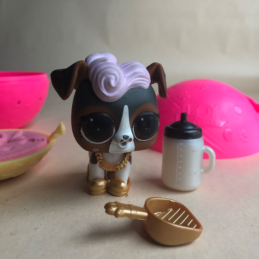 LOL Surprise Pets Series 1 dog DJ K9 Glee Club Hobbies Toys Toys Games on Carousell