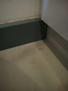 (Category: ) located in . Submitted by weeclean (Listing ID 1053831261, Image 1). Description: .