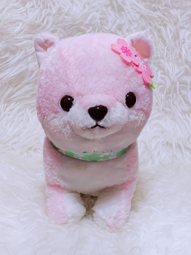 Amuse shiba deals
