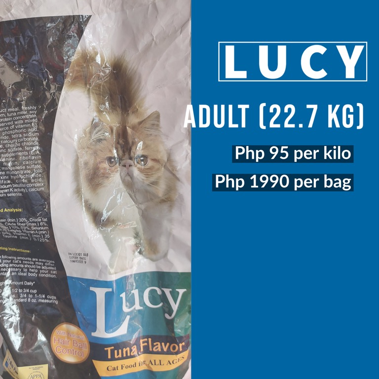 Cat luy Lucy
