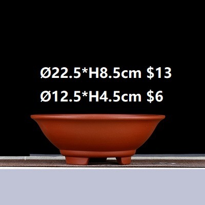 5 Bonsai Pot