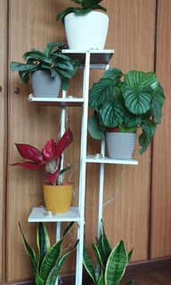 (Category: ) located in . Submitted by huckjiaq (Listing ID 1053988183, Image 1). Description: .