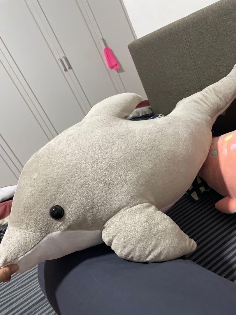 dolphin teddy