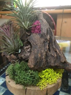(Category: ) located in . Submitted by martigr8 (Listing ID 1054241986, Image 1). Description: .