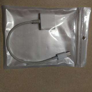 Apple 20pin to type C converter