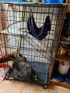(Category: ) located in . Submitted by rslynn (Listing ID 1054450101, Image 1). Description: .