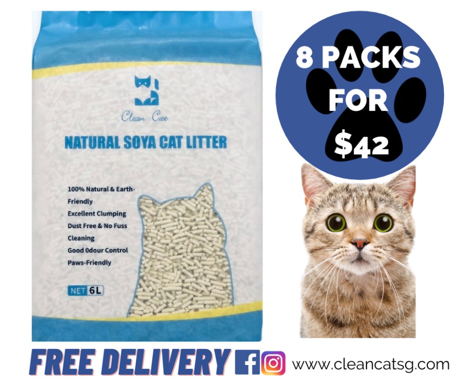 Super Absorbing Flushable 99.9% Dust Free Best Natural Odor Control Tofu Cat Litter Refill Pack 4.5 Lbs Premium Clumping Multi-Cat Charcoal Refill Pack, 1 Pack Unscented and Scented 