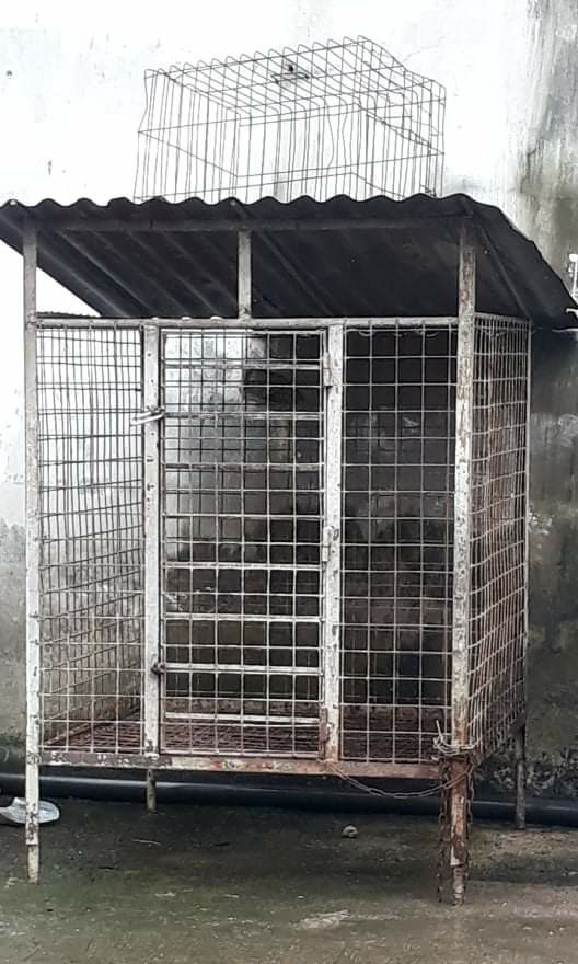 Cage for labrador dog hotsell