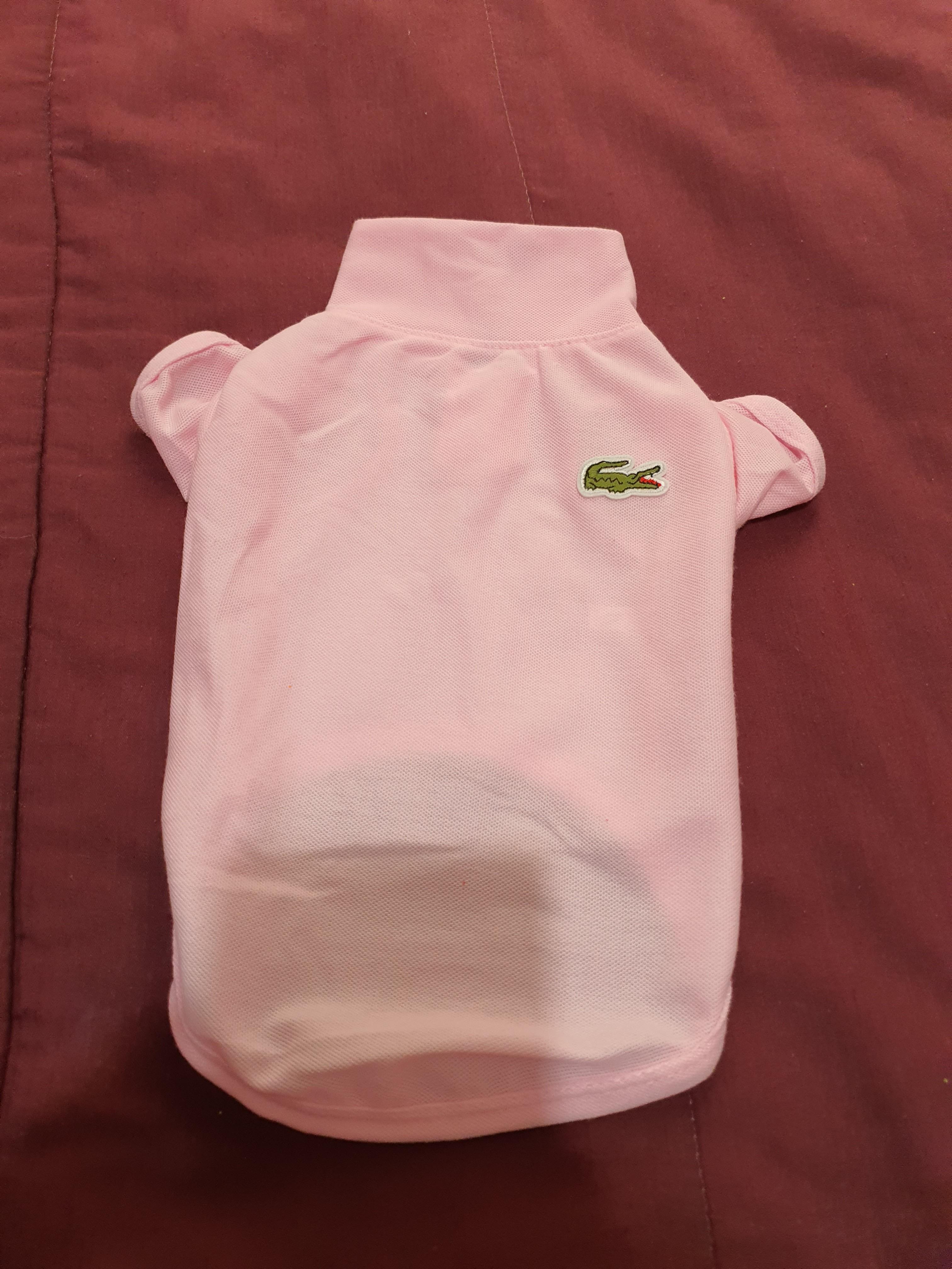 lacoste dog clothes