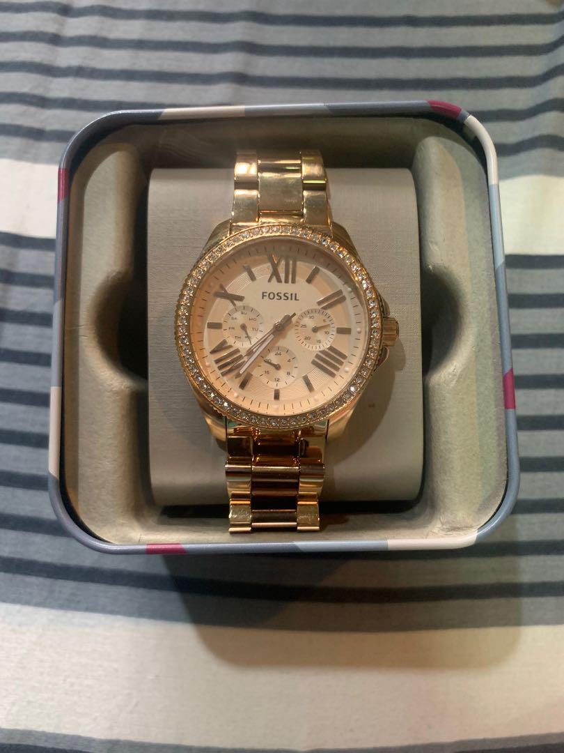 Am4483 fossil store