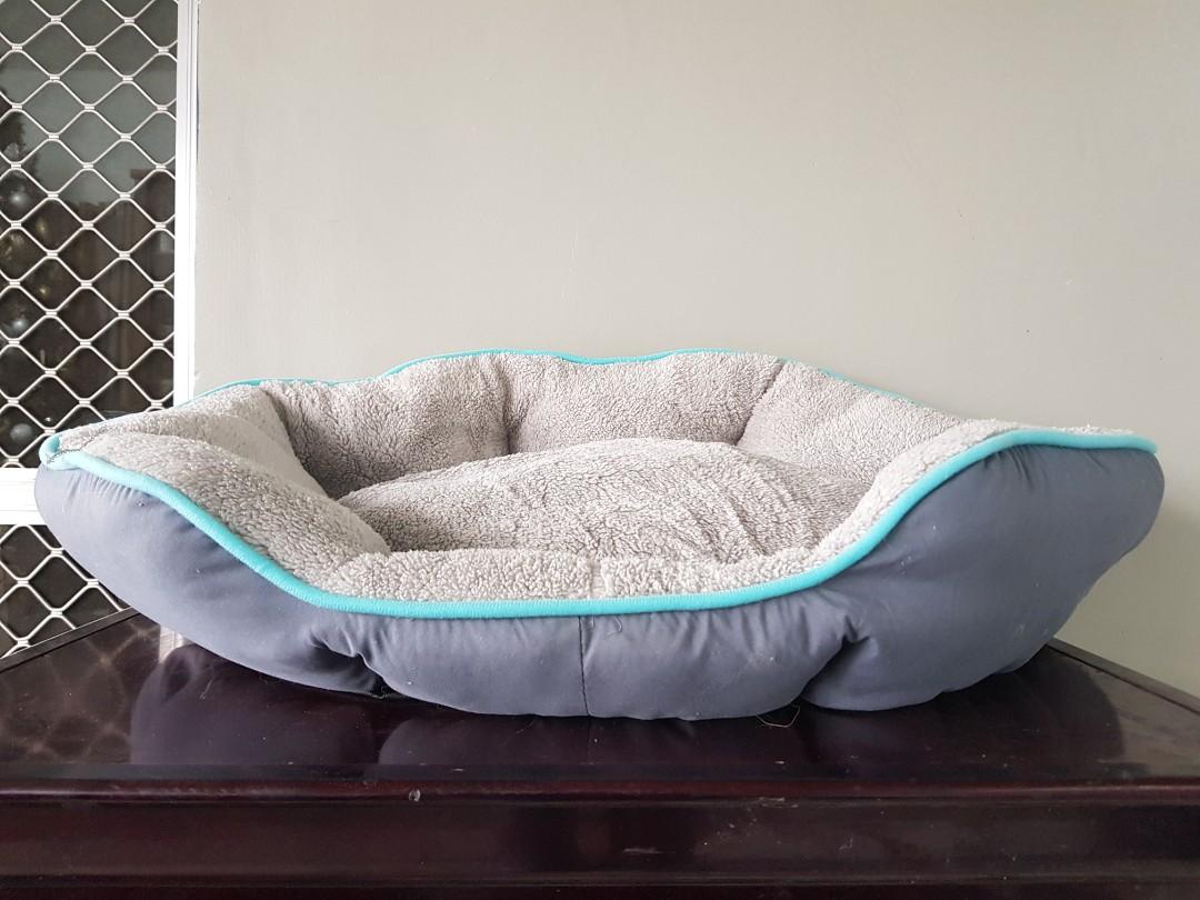 Heated Pet Bed Pet Supplies Homes Other Pet Accessories on Carousell