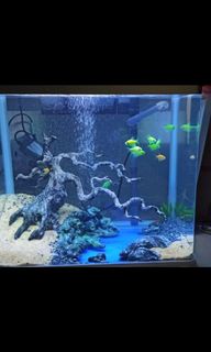 (Category: ) located in . Submitted by maamud (Listing ID 1054438568, Image 1). Description: .