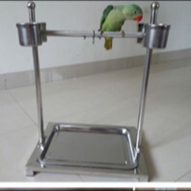 Stainless steel sales parrot stand