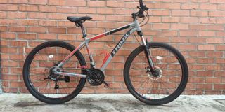 Matte grey sales mountain bike