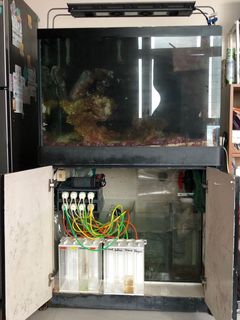 (Category: ) located in . Submitted by joche (Listing ID 1054629576, Image 1). Description: .
