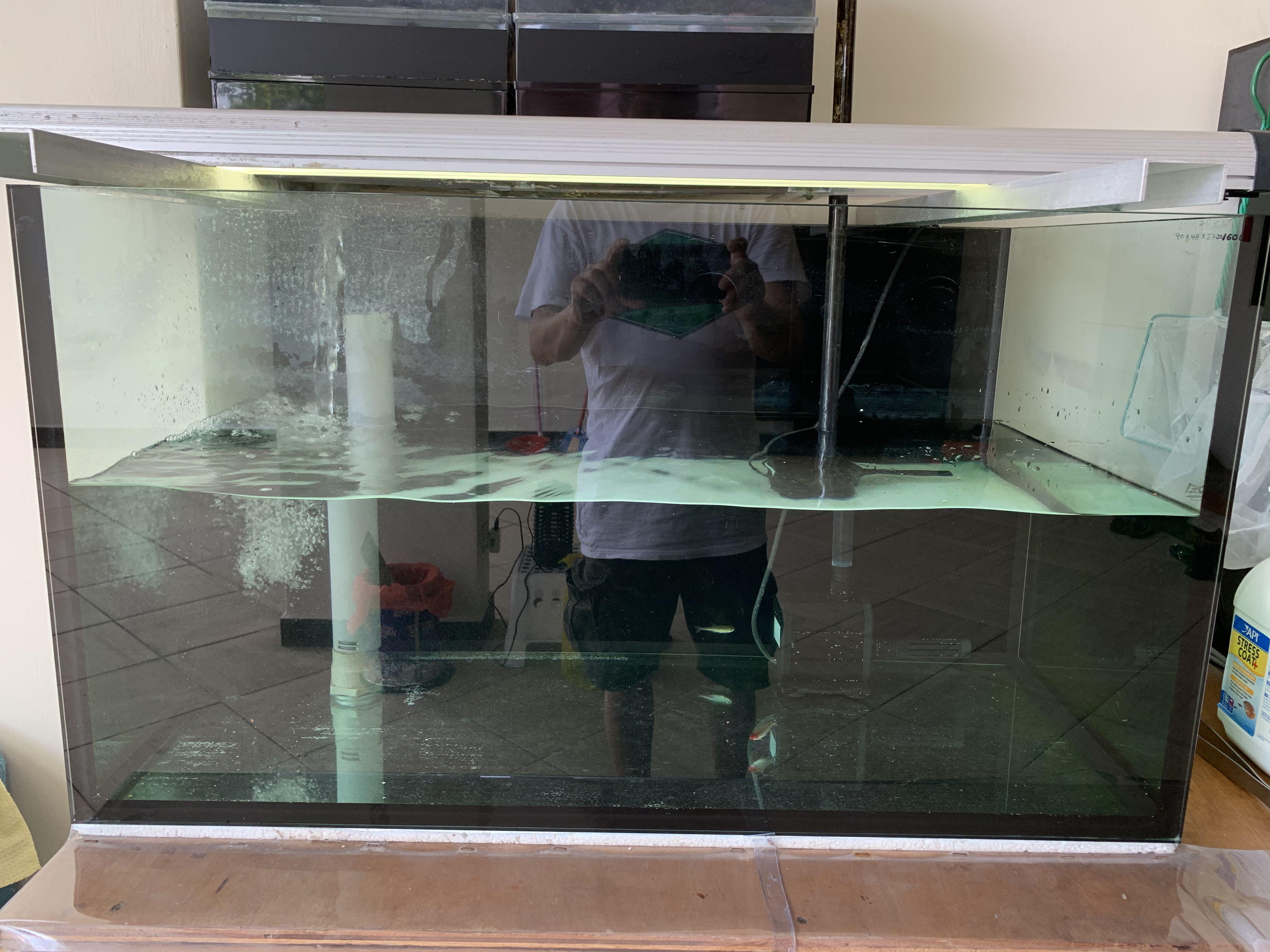 silicone for aquarium price