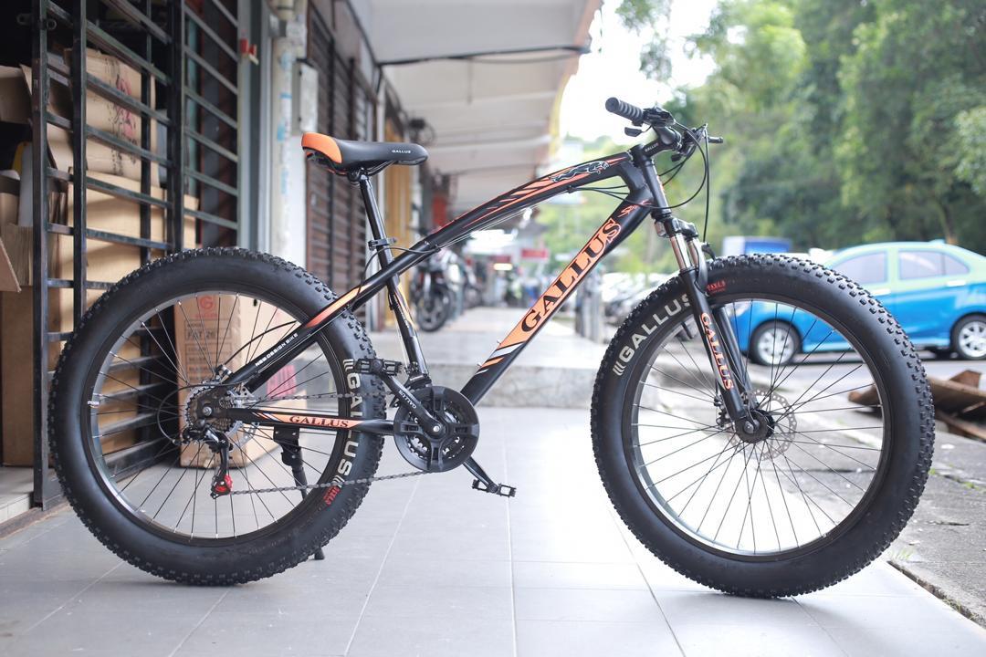 Gallus 26
