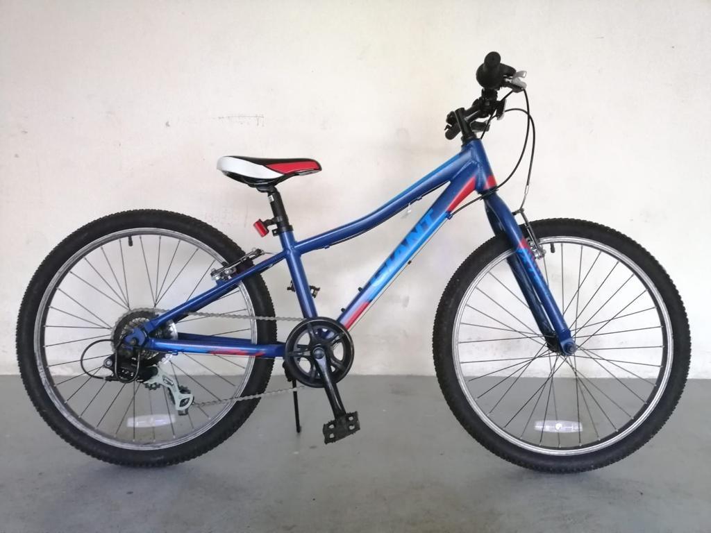Giant xtc jr lite 24 clearance