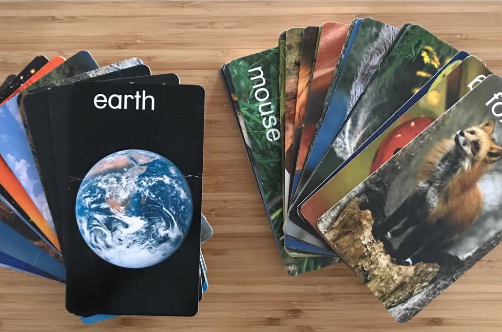 2 sets Baby Einstein Flash Cards (Animal & World), Hobbies & Toys, Toys