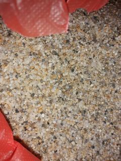 (Category: ) located in . Submitted by maxyeap (Listing ID 1054876555, Image 1). Description: .