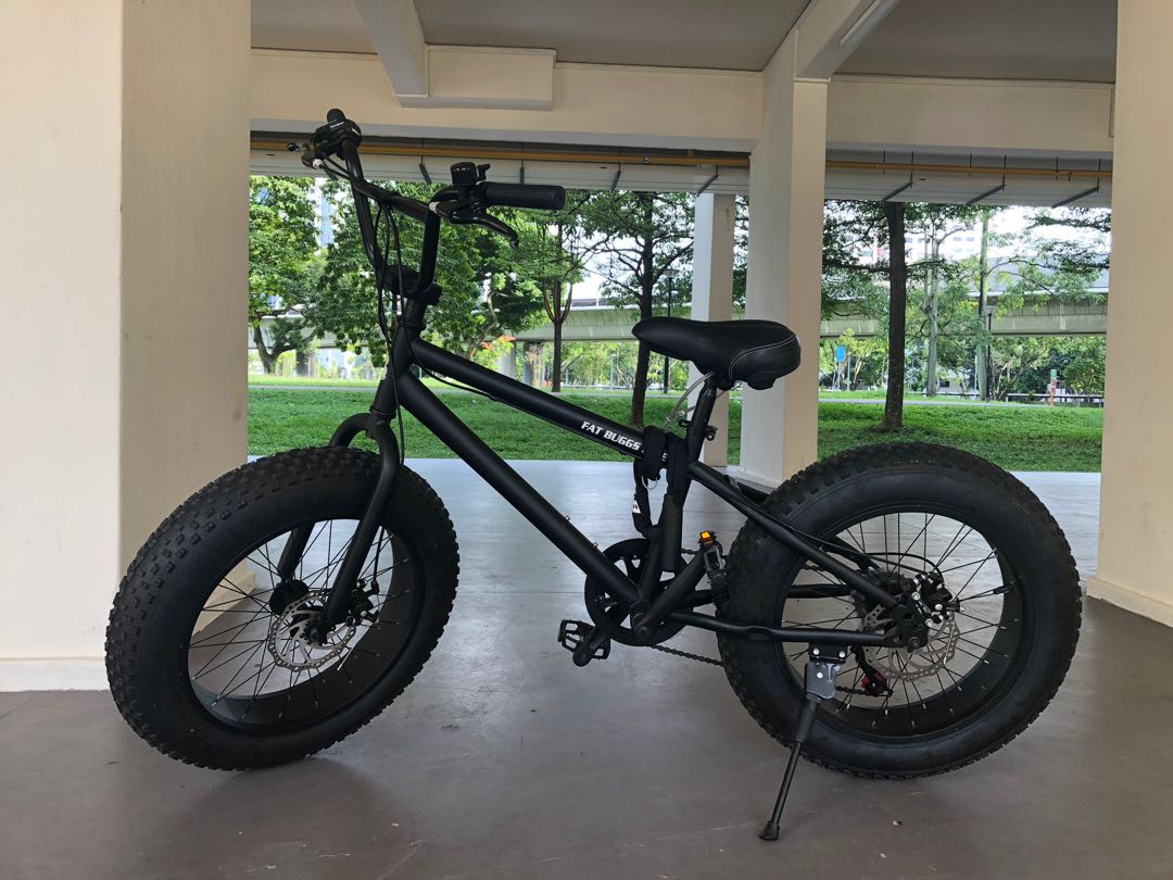 Fat Buggs Bike 20