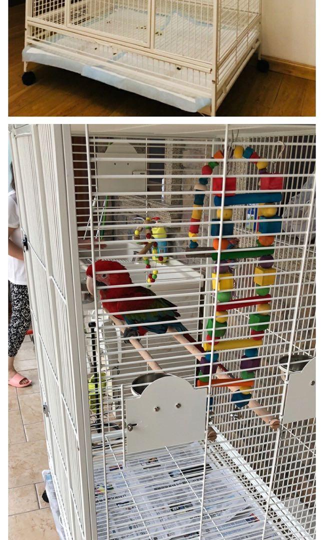 diy macaw cage