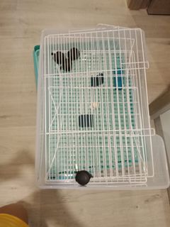 （分類：）位於 。 由 raynahon 提交（商品編號 285325469，圖片 1）。簡介： 。