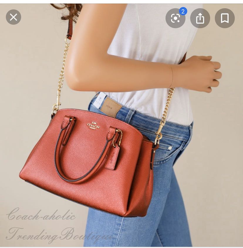 REDUCED Coach Leather Mini Sage Carryall