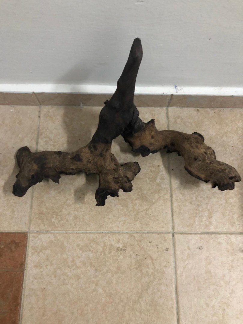 Aquarium tannin Driftwood, Pet Supplies, Homes & Other Pet Accessories