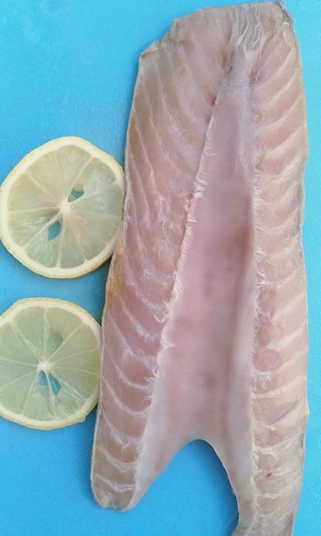 Frozen Tuna Belly and Tuna Panga, Food & Drinks, Chilled & Frozen Food on Carousell