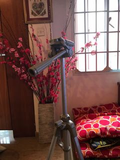 (Category: ) located in . Submitted by prov1717 (Listing ID 284284097, Image 1). Description: .