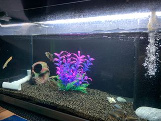 (Category: ) located in . Submitted by b_jaga (Listing ID 1000254082, Image 1). Description: .