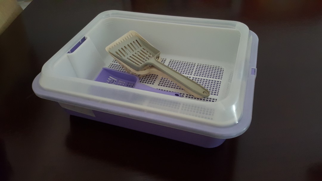 Kitty litter tray, Free Items on Carousell