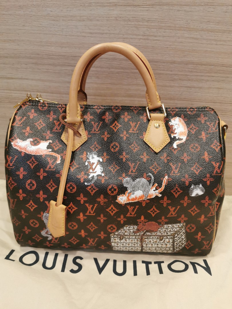 Louis Vuitton Grace Coddington Catogram Speedy 30, Luxury, Bags u0026 Wallets  on Carousell