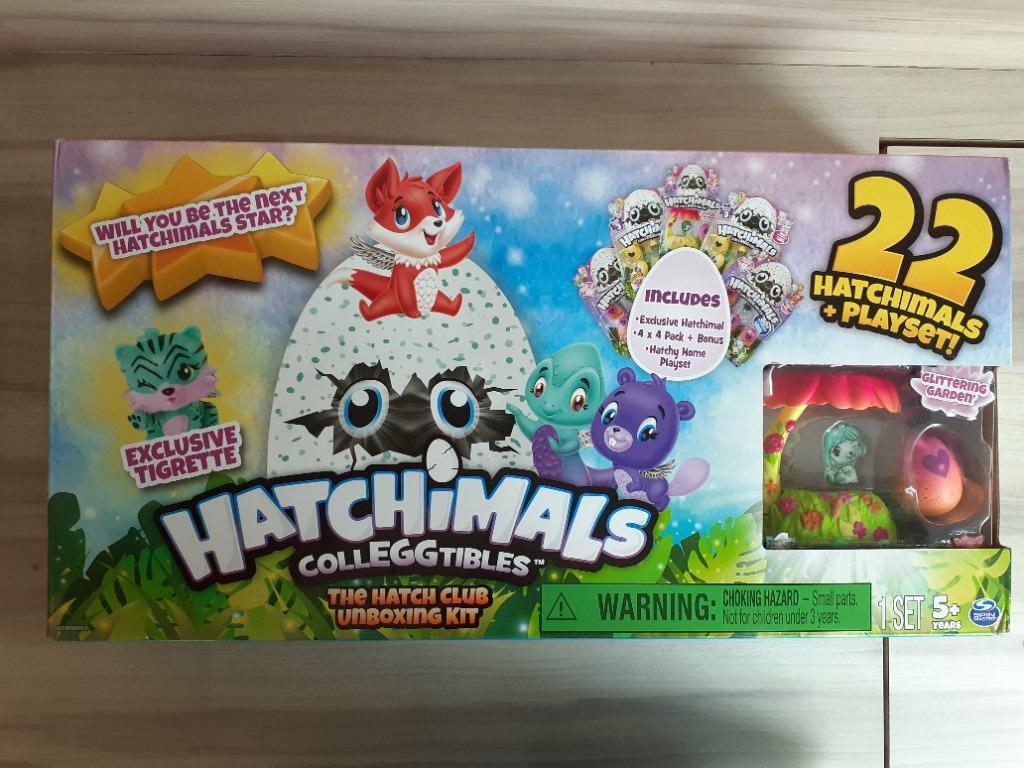 Hatchimals club cheap